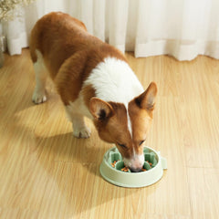 Animire suction-base keeps the dog bowl steady during meals.