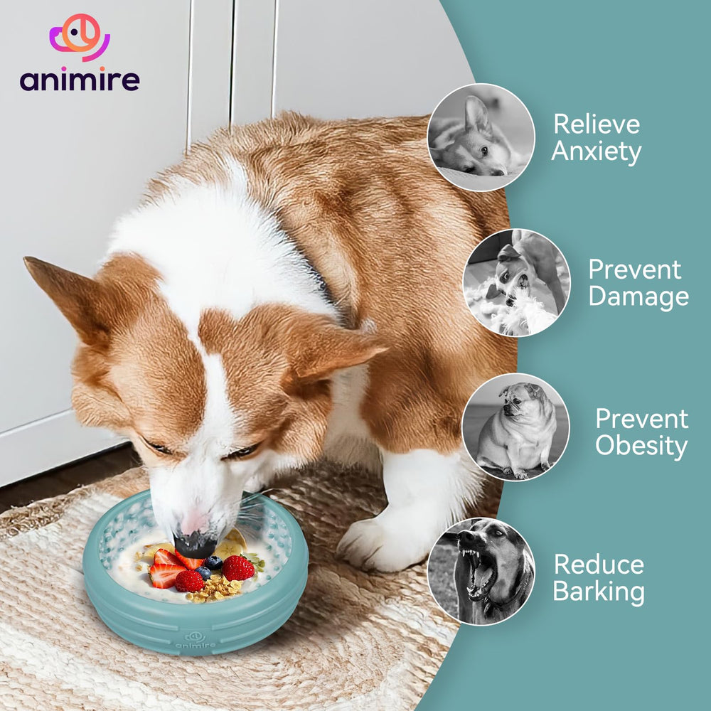 Animire teal enrichment helps dogs stay engaged during grooming.