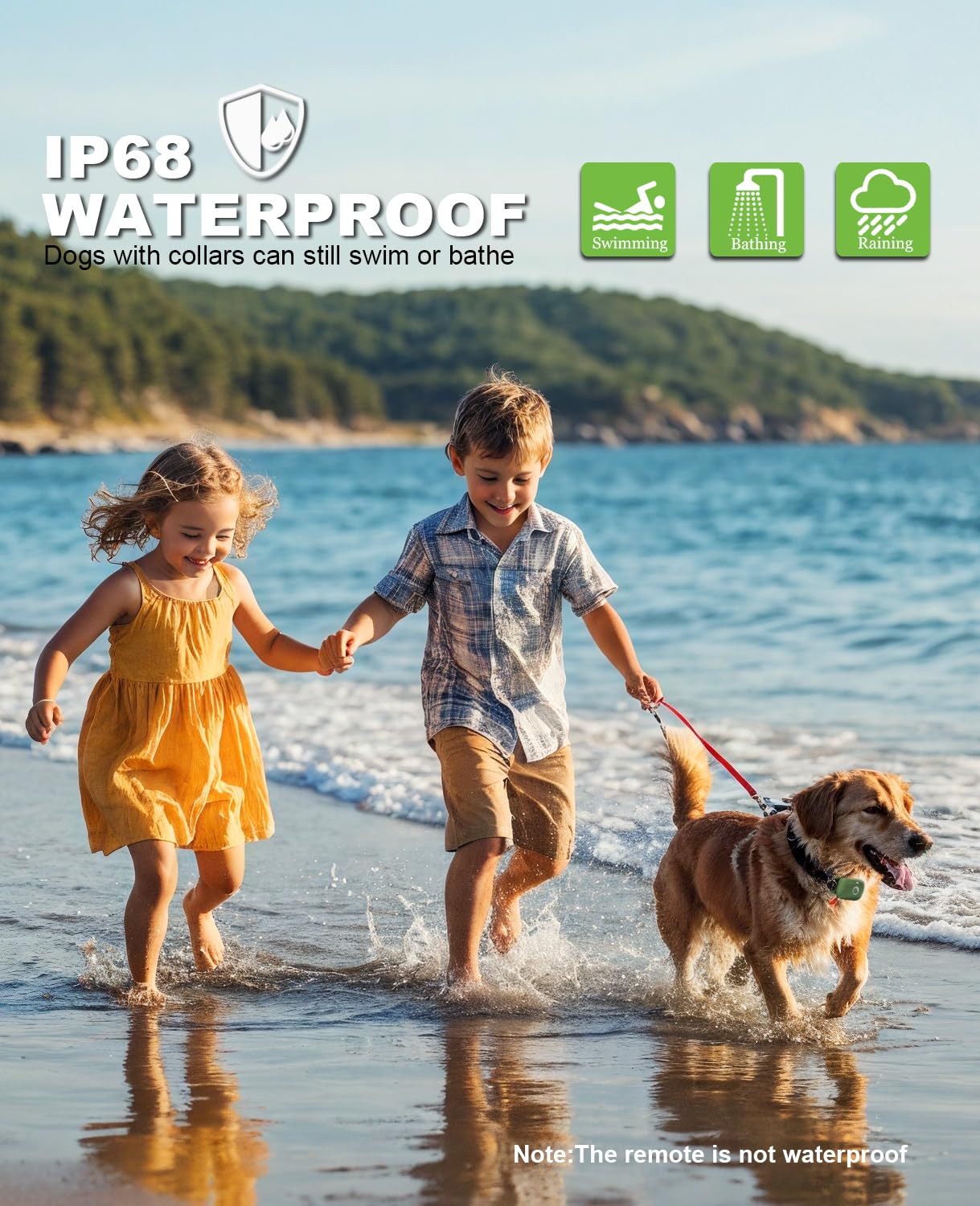 Animoul soft odor-free strap keeps dogs comfortable across sizes.