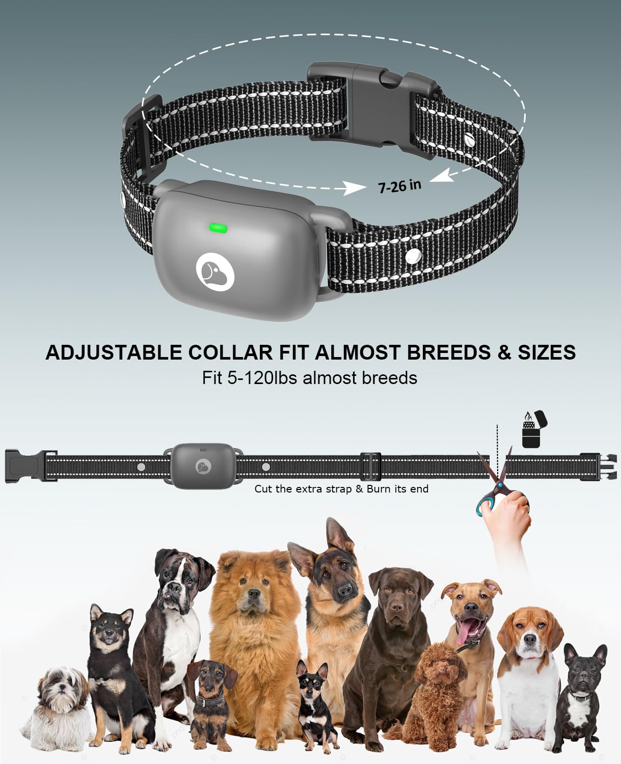 Animoul remote offers long standby for reliable outdoor training.