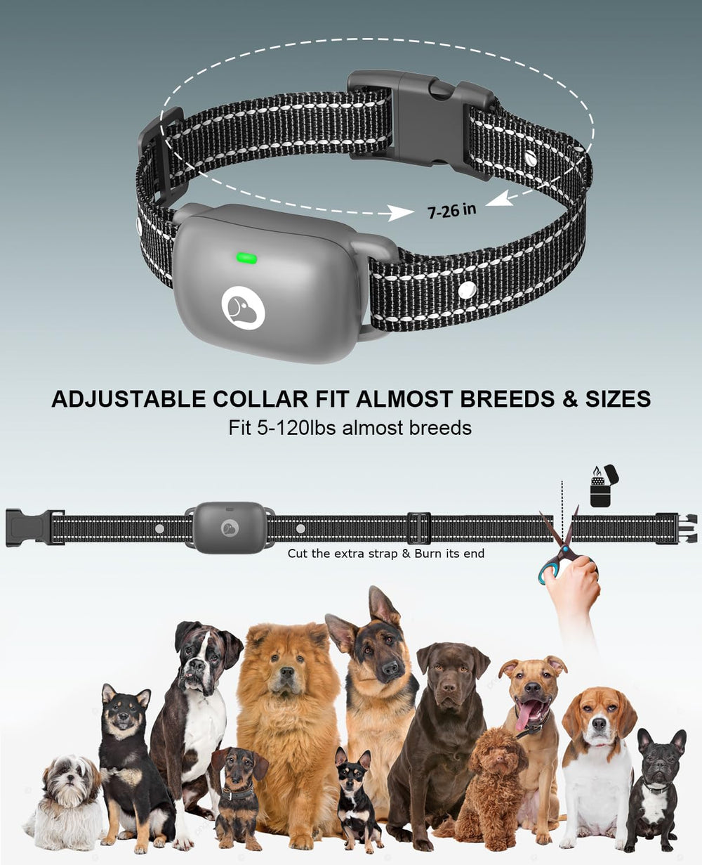 Animoul remote offers long standby for reliable outdoor training.