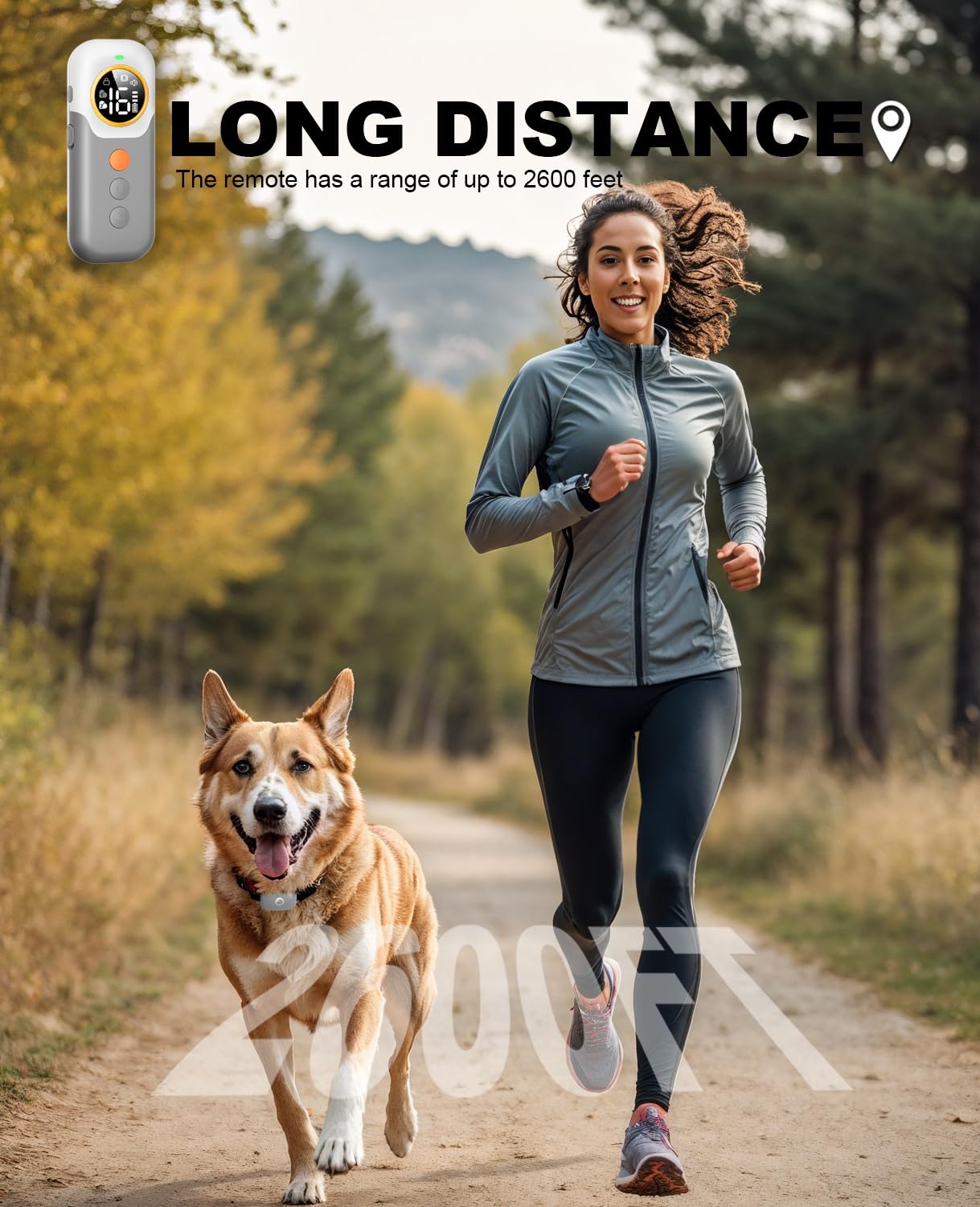 Animoul collar with security keypad lock prevents accidental presses during training.