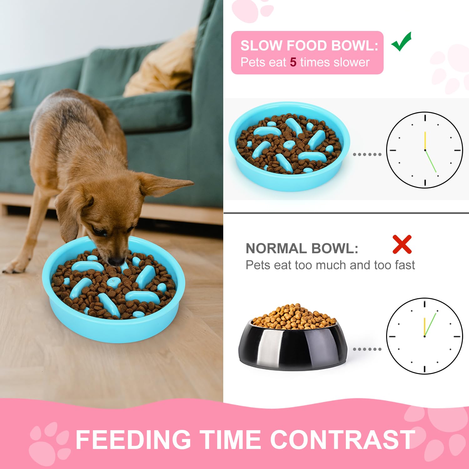 Anipaw 3-in-1 set overview highlights convenient all-in-one feeding.
