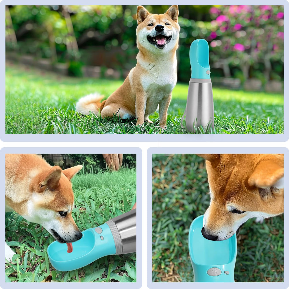 Anipaw bottle suitable for all dog sizes during outdoor trips