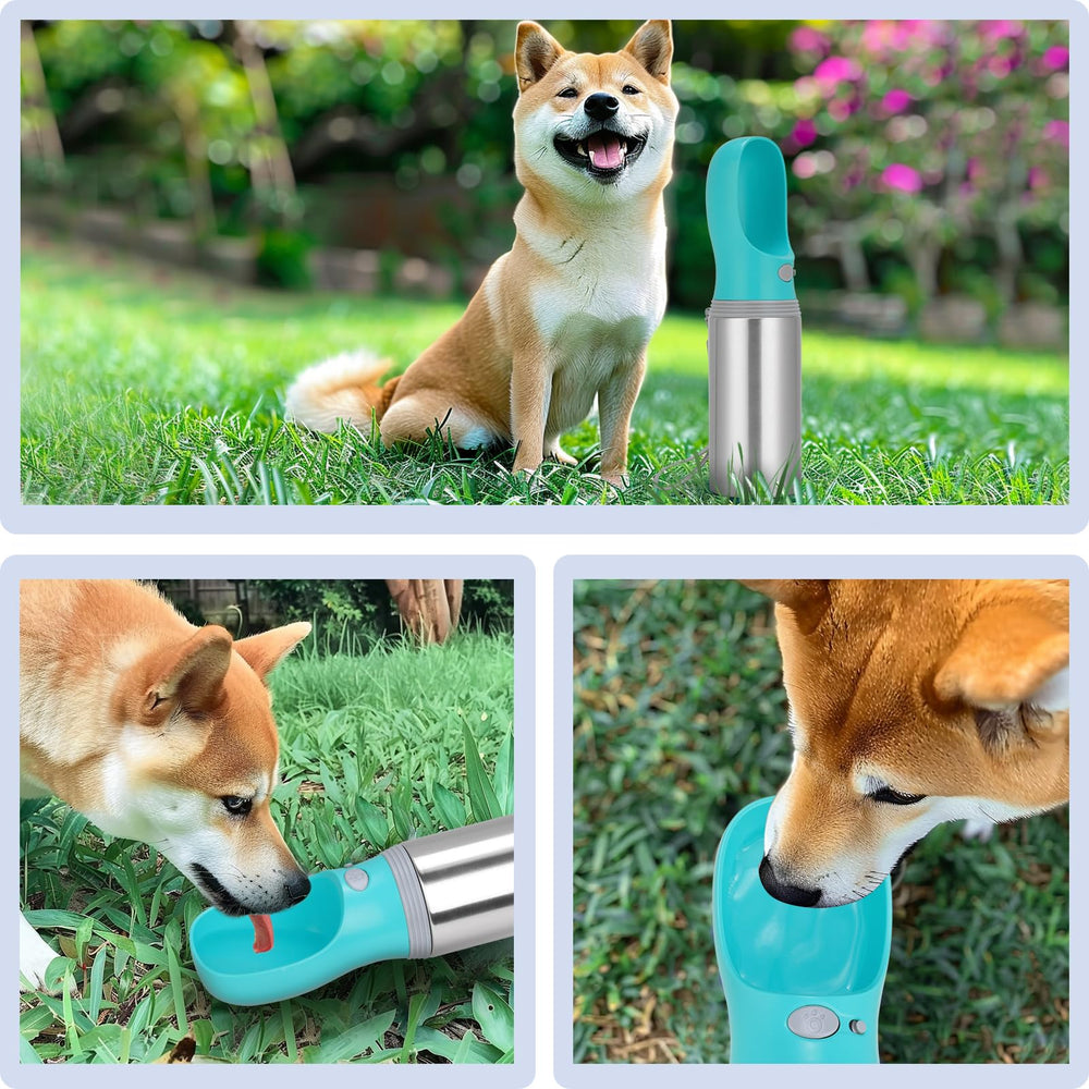 Anipaw portable dog water bottle travel-easy-clean design simplifies outdoor hydration routines