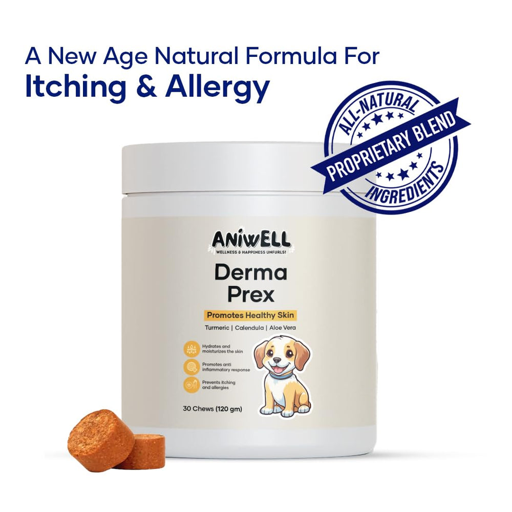 Aniwell DermaPrex anchovy oil liquid showing omega-3-rich formula for skin health.