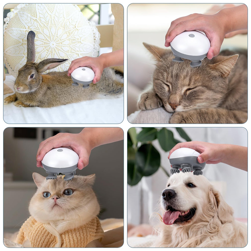 Ankilo pet massager used on a dog during a calming session, promoting mobility and relaxation