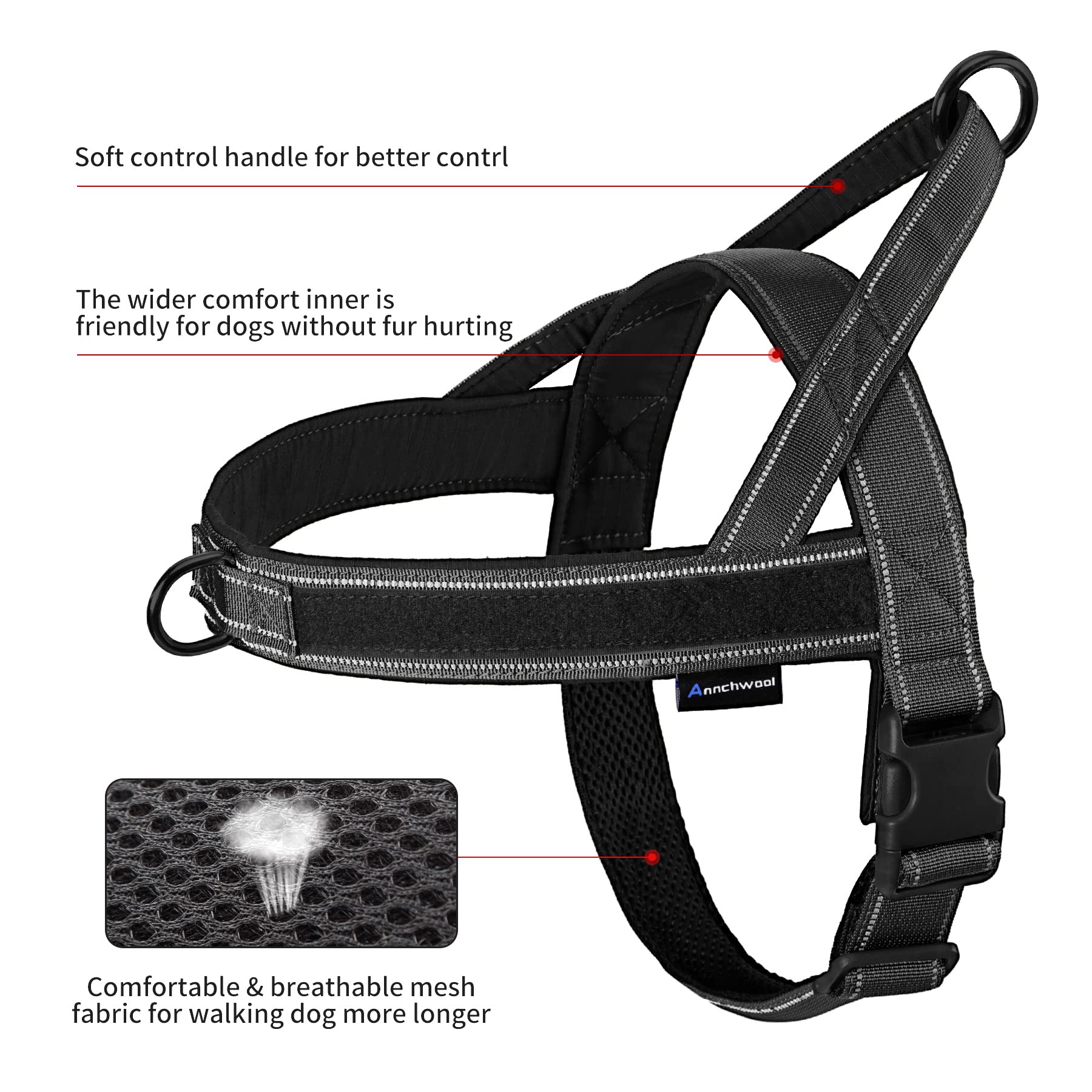 Annchwool dual-ring system for leash and ID tagging attachment.