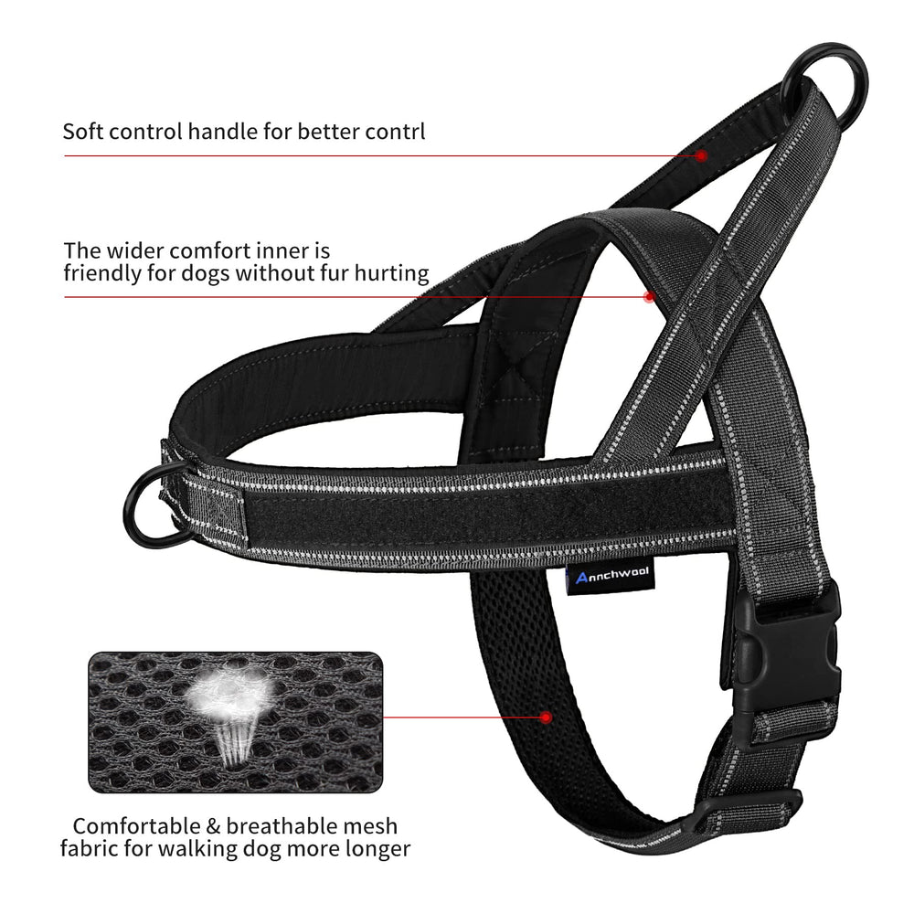 Annchwool dual-ring system for leash and ID tagging attachment.
