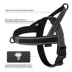 Annchwool dual-ring system for leash and ID tagging attachment.