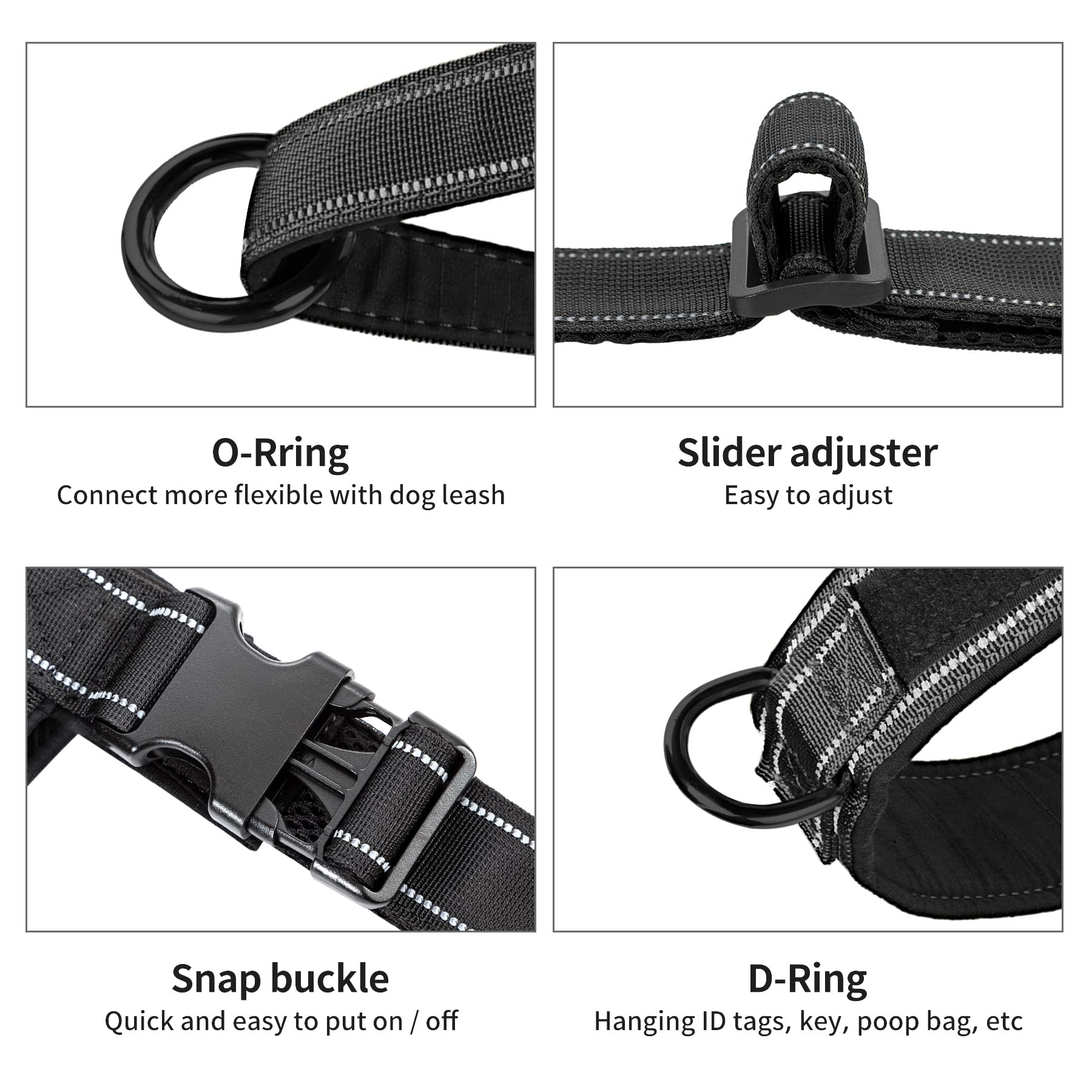 Annchwool front strap prevents forward rushing for safer training sessions.
