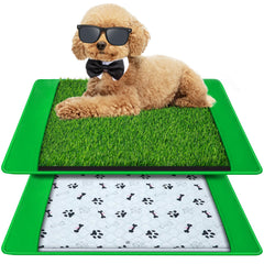 Annexfun dog grass mat 20x25 laid flat for indoor potty use, keeps floors clean.