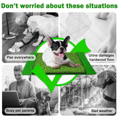 Annexfun pee pad four-layer absorbent design enables quick cleanup.
