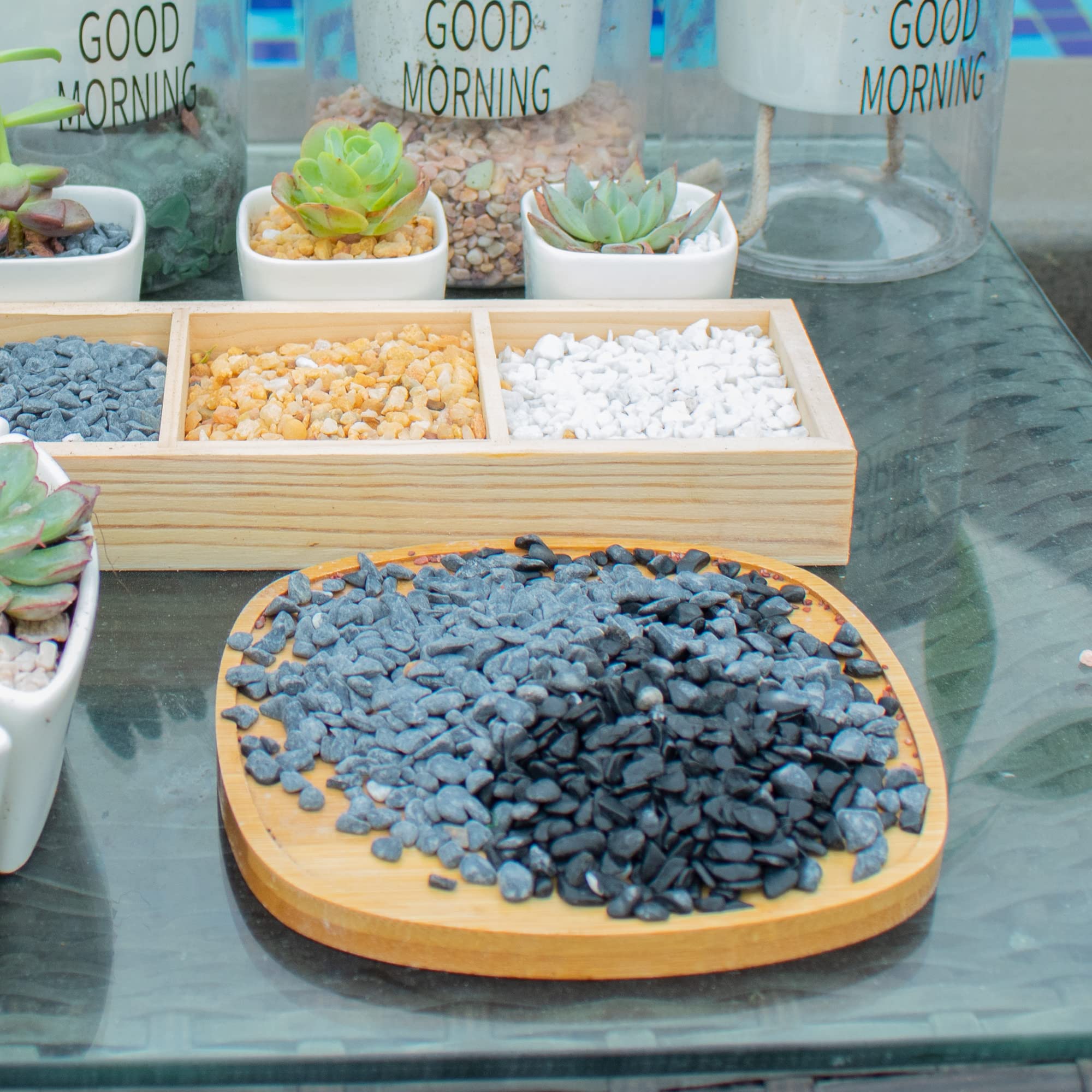 Anothera decorative gravel vase fillers collection display enhances indoor plant arrangements.