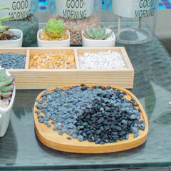 Anothera decorative gravel vase fillers collection display enhances indoor plant arrangements.