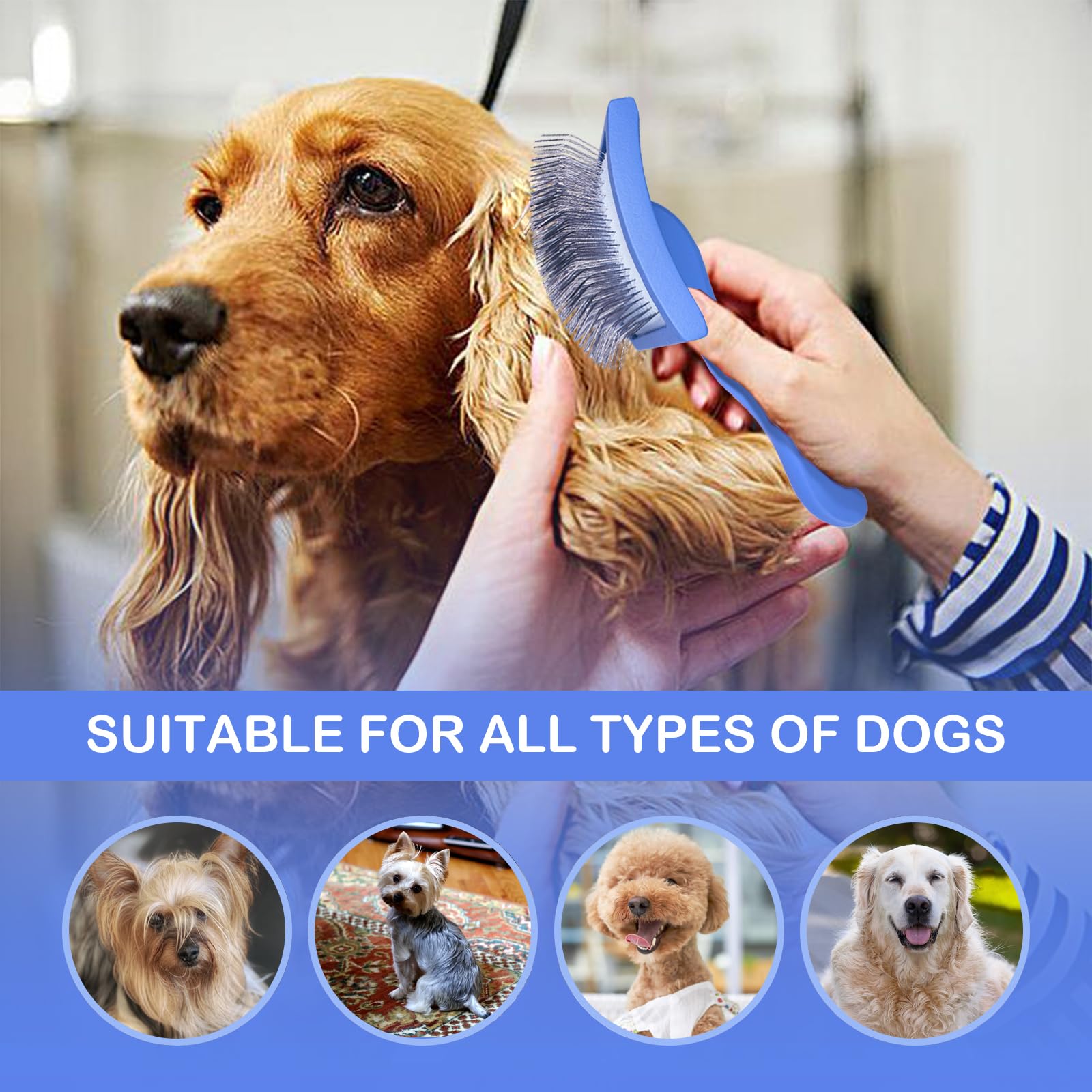 Anrundar dog slicker brush pins close-up showing snag-reducing tips