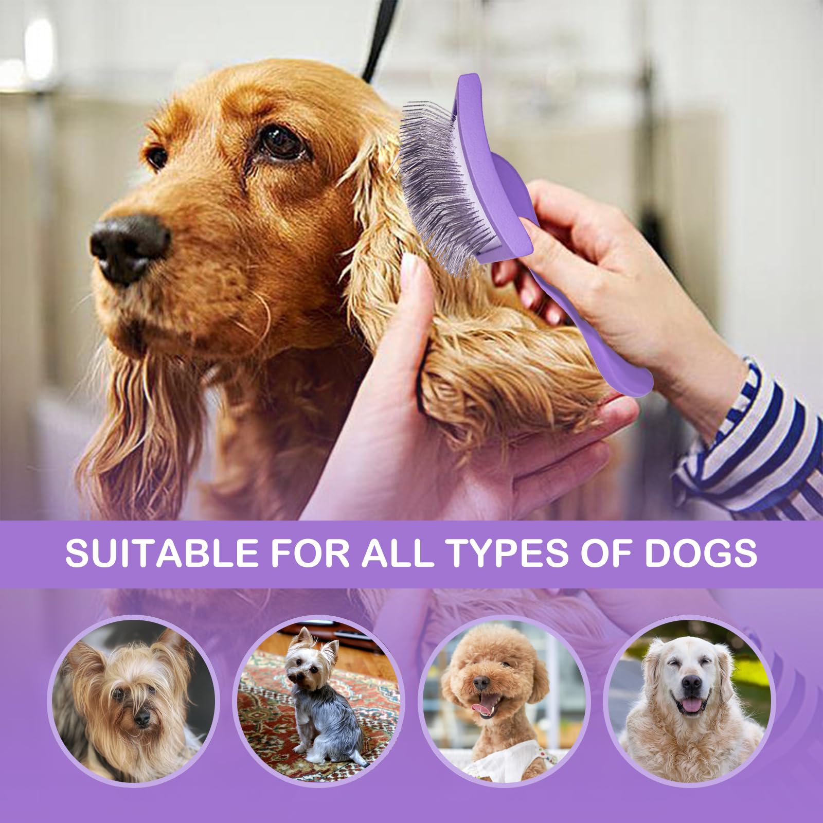 Anrundar long-coat grooming session smooths fur and speeds prep