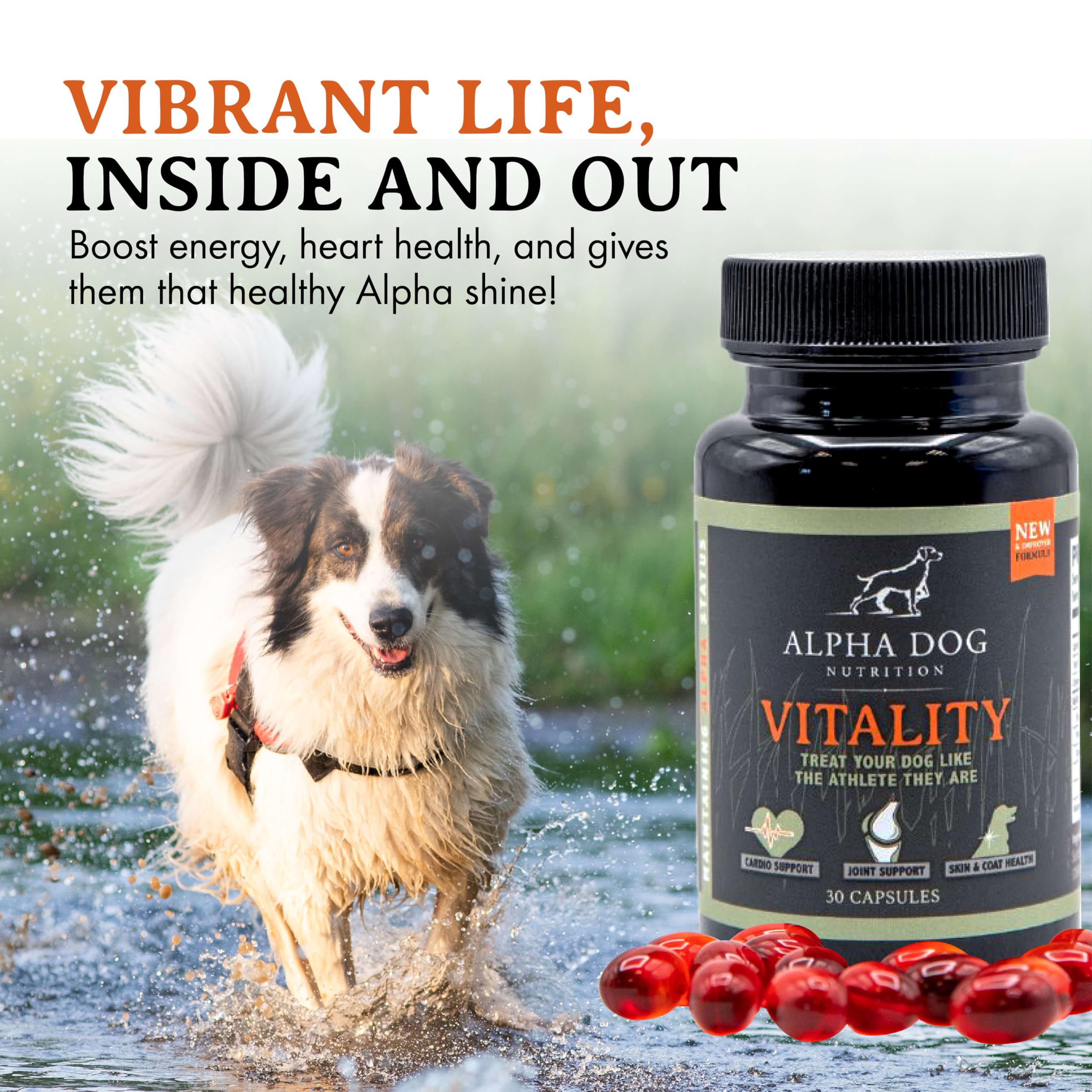 Antarctic krill origin ingredient emphasizes purity and omega-3 richness for pets