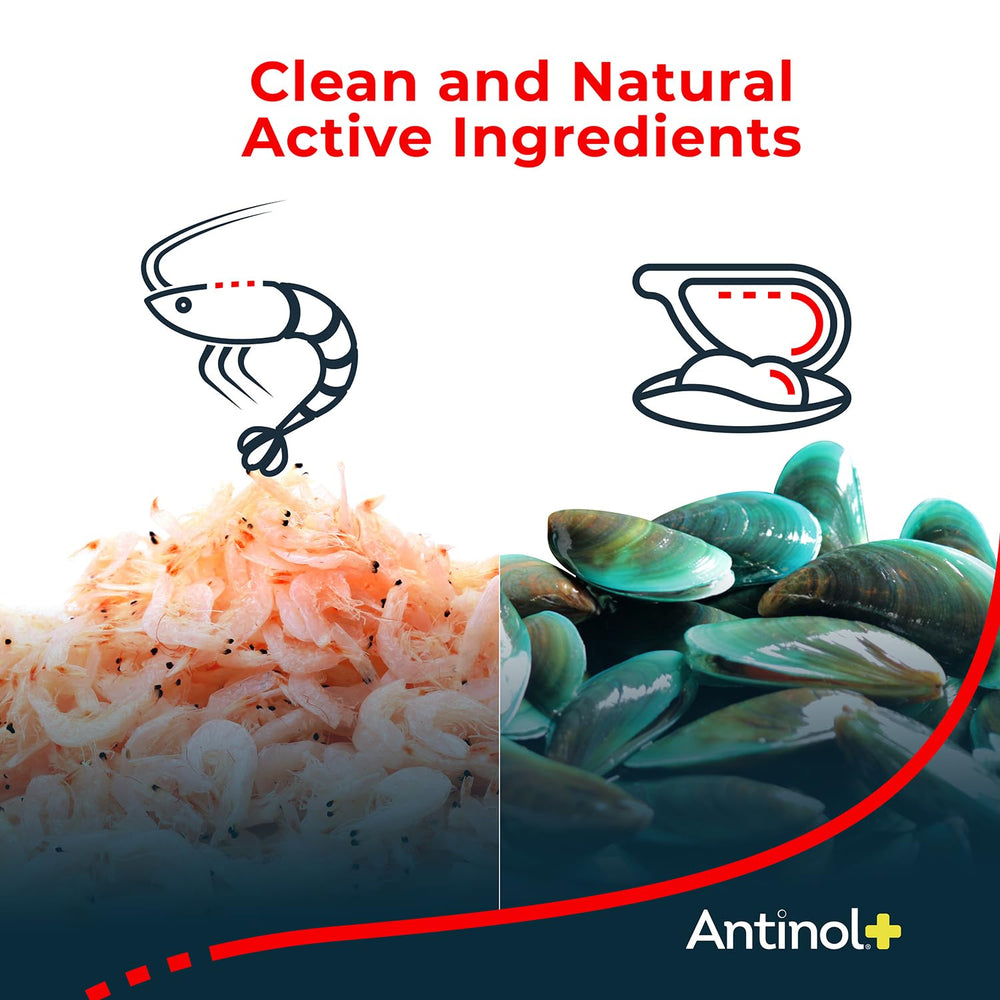 Antinol Plus Antarctic krill oil graphic for antioxidant-rich marine blend.