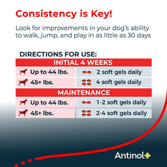Antinol Plus marine oil blend with green-lipped mussel and krill.