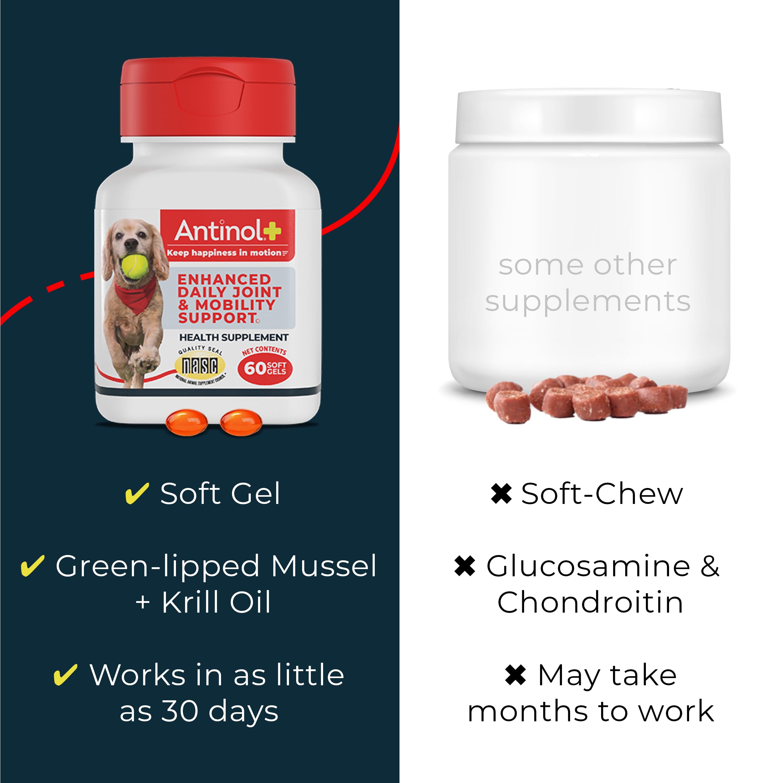 Antinol Plus large dog image shows 2 gels daily for mobility.