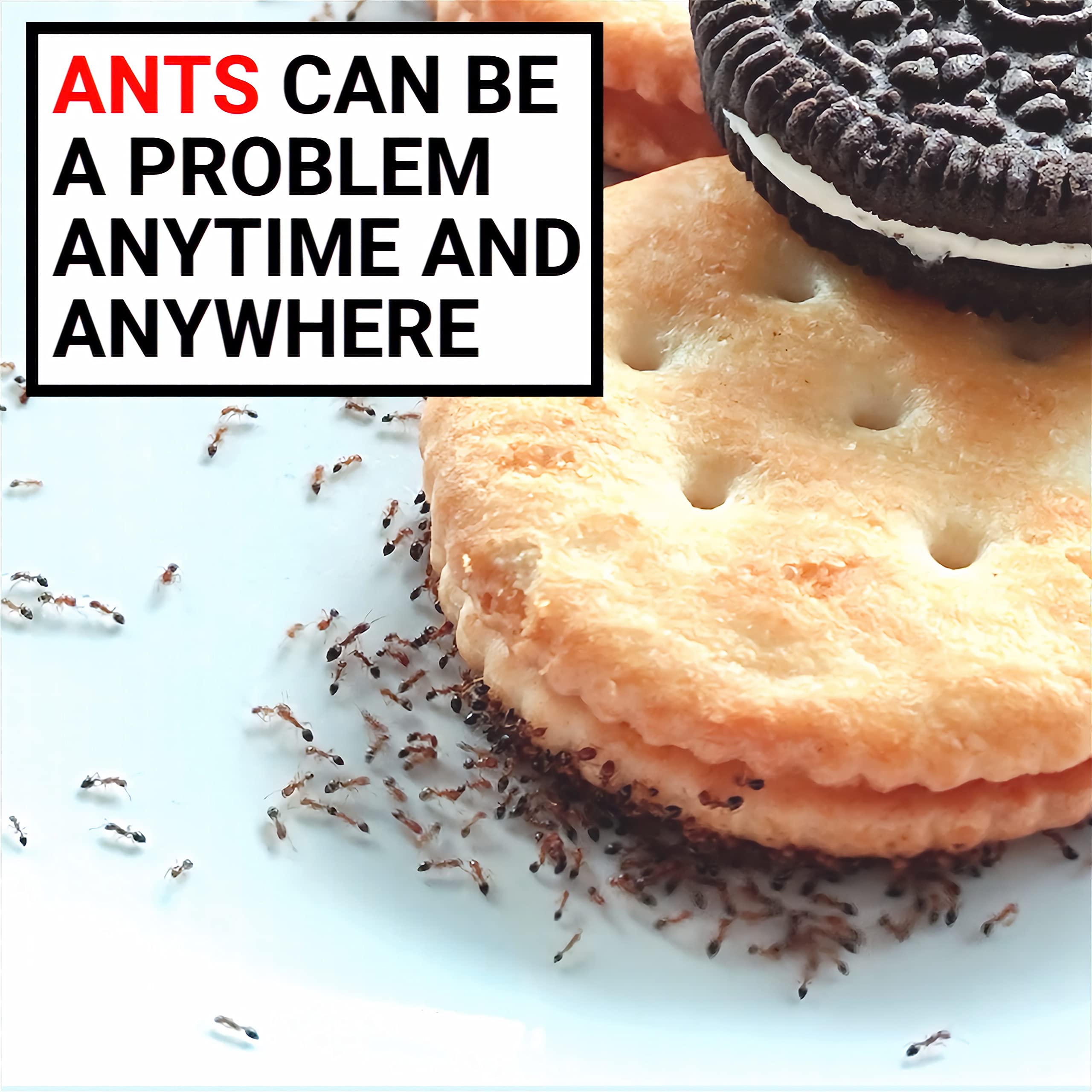 AntPad two-sides surface provides dual-use protection against ants.