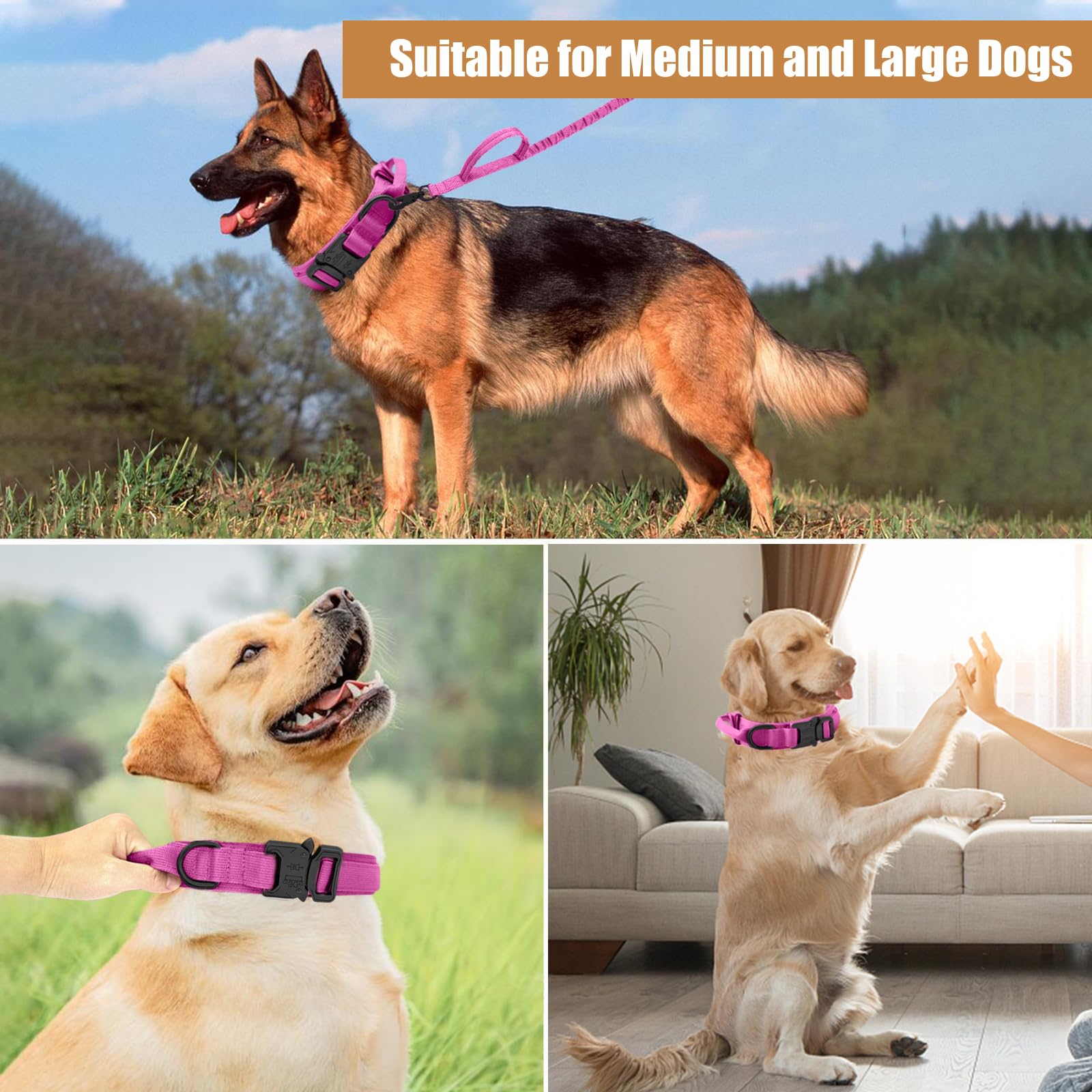 Antswish control handle dog collar pink offers quick holds during busy outings