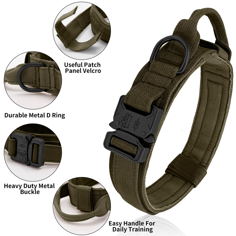 Antswish dog collar control-handle-green enables quick assist during walks.