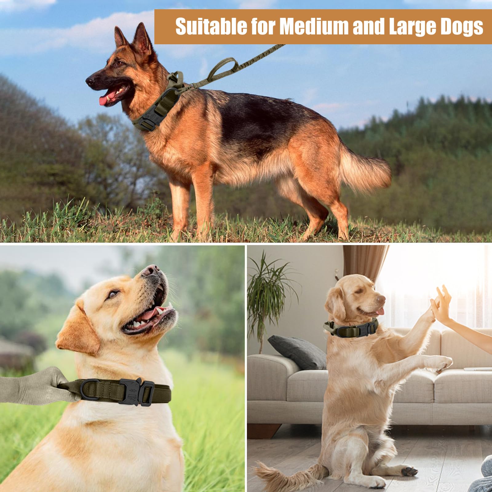Antswish dog collar metal buckle green XL close-up for durable closure.