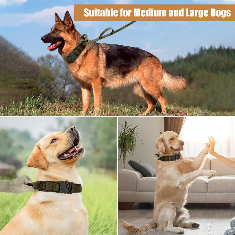 Antswish tactical collar closeup highlights soft padding and rugged stitching.