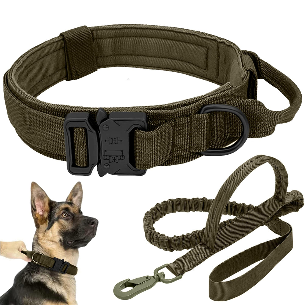 Antswish tactical dog collar green with metal buckle offers secure fit and durable control.