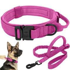 Antswish tactical dog collar pink shown with durable nylon for training