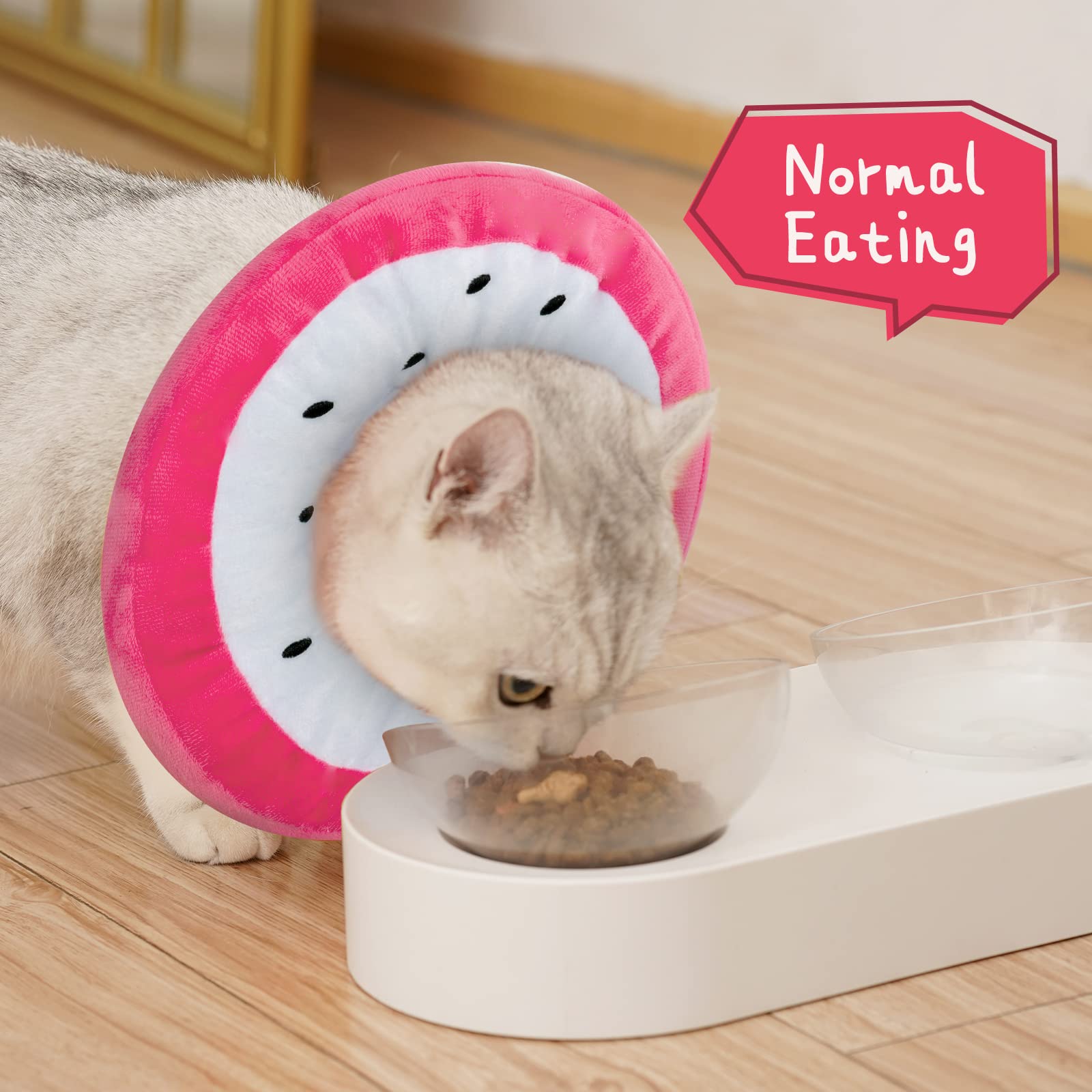 ANWA donut-design cone on a cat showcases a cute, comforting recovery accessory