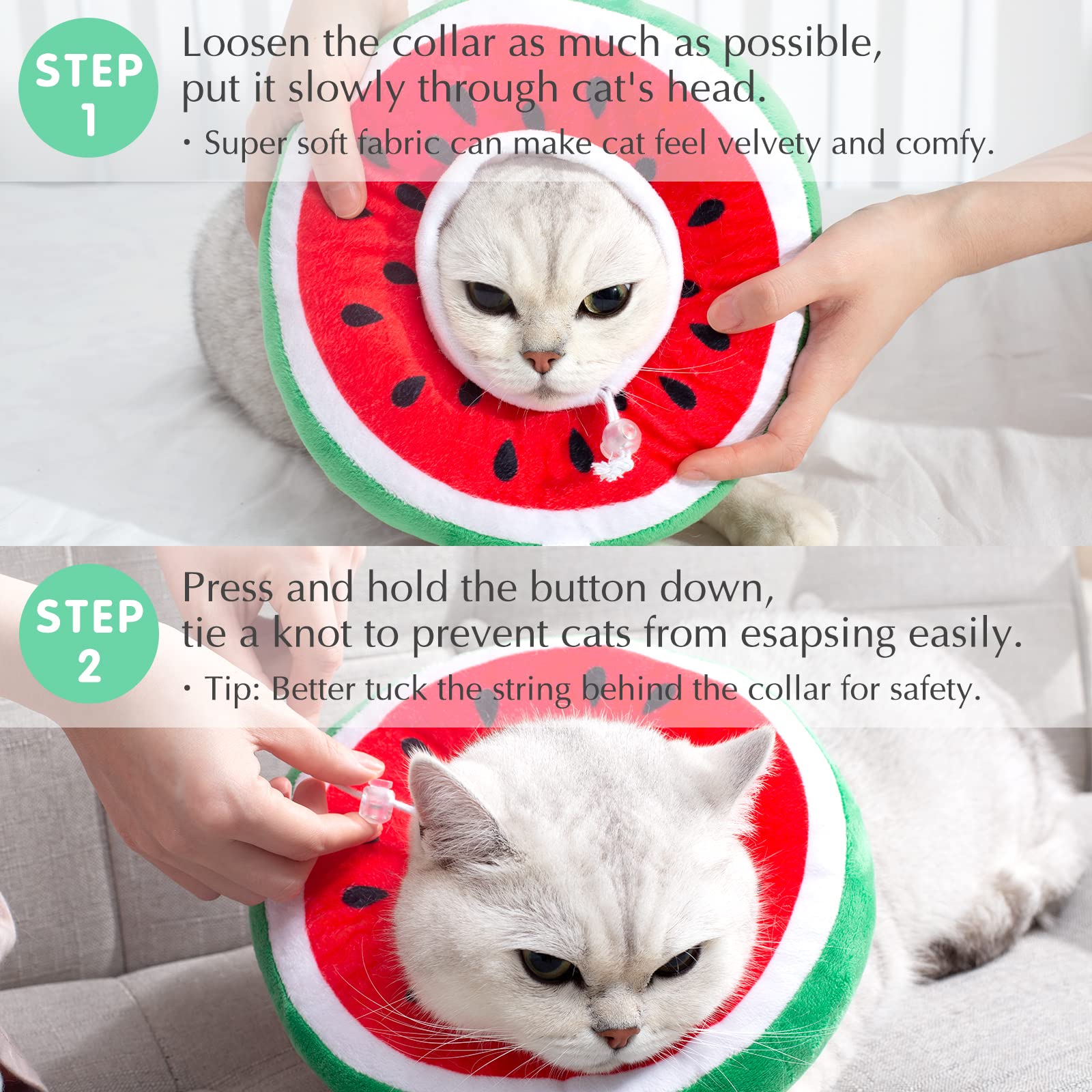 ANWA donut collar adjustable for cats and small dogs.