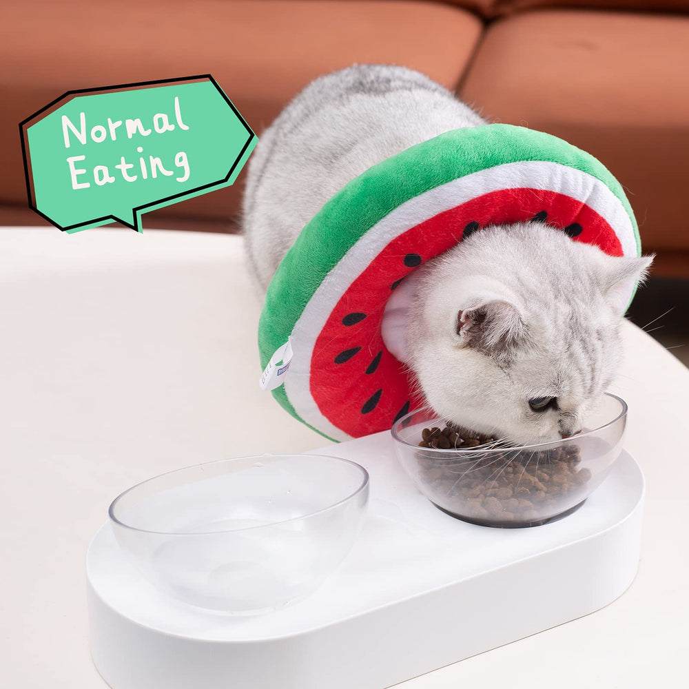 ANWA cat cone collar on cat eating demonstrates normal nourishment.
