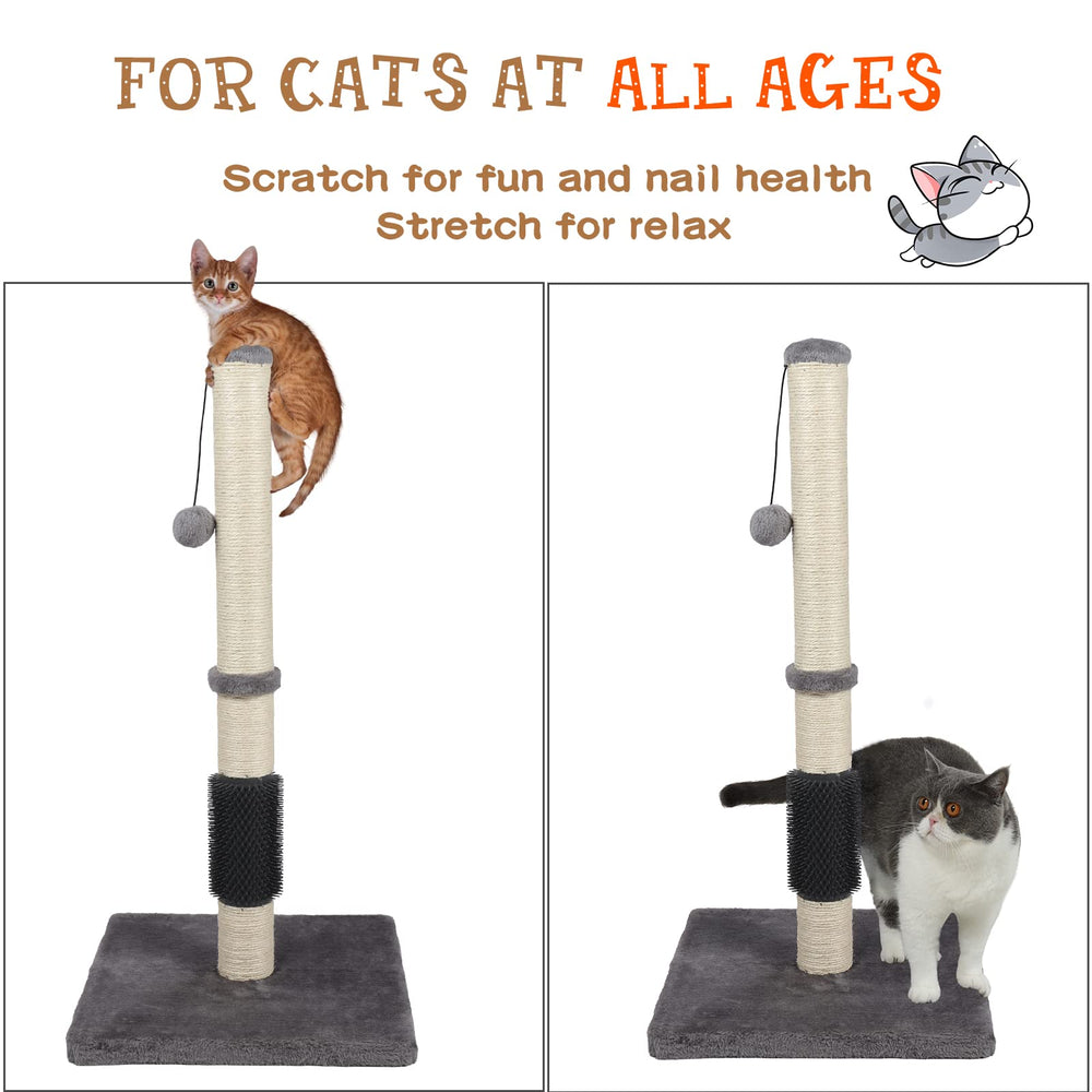 ANWA cat post ready-to-assemble in minutes for a simple setup