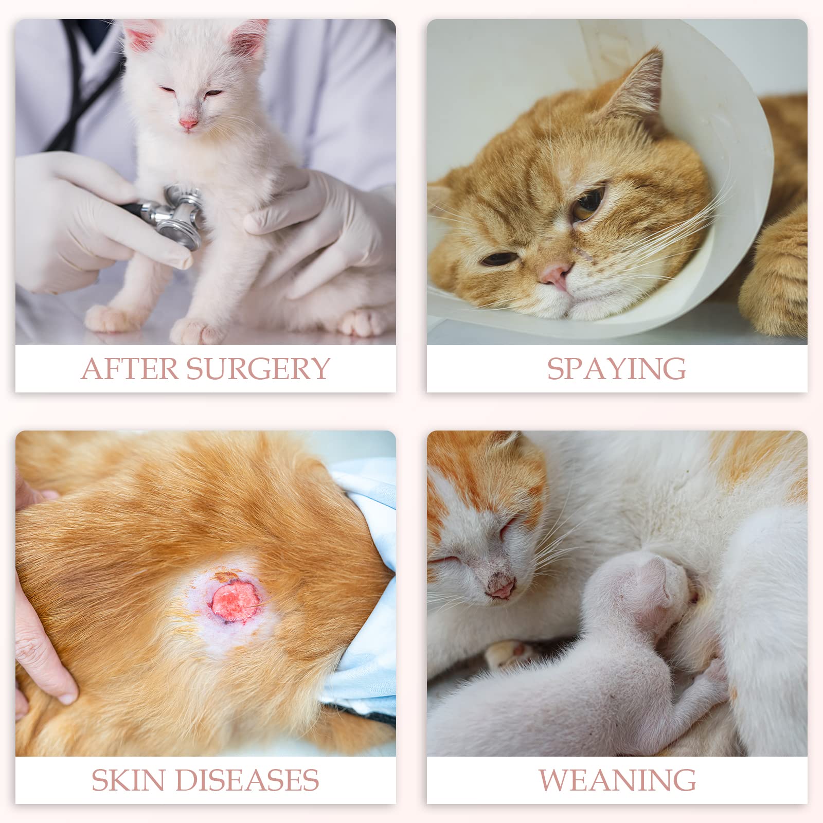 ANWA cat recovery suit washable close-up highlights reusable care benefits.