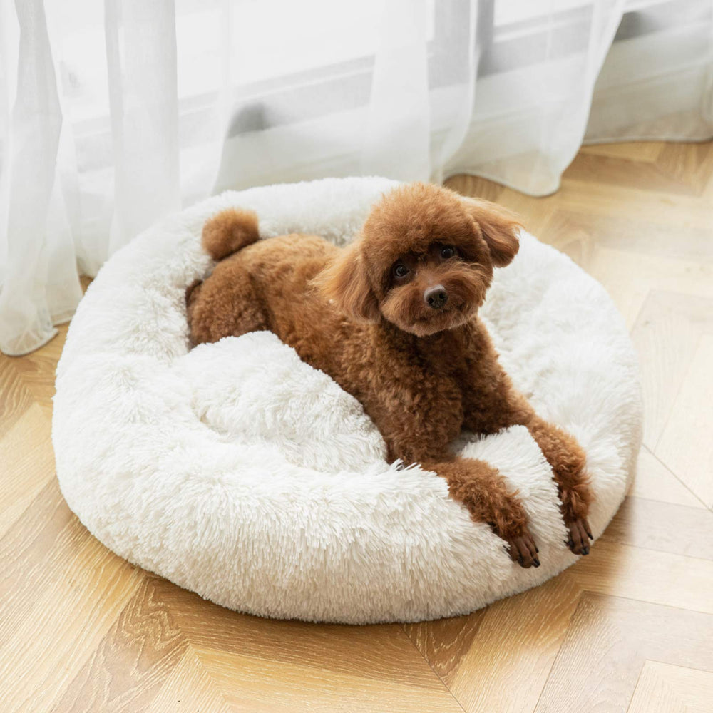 ANWA Dog Bed with non-slip bottom stays in place during play.