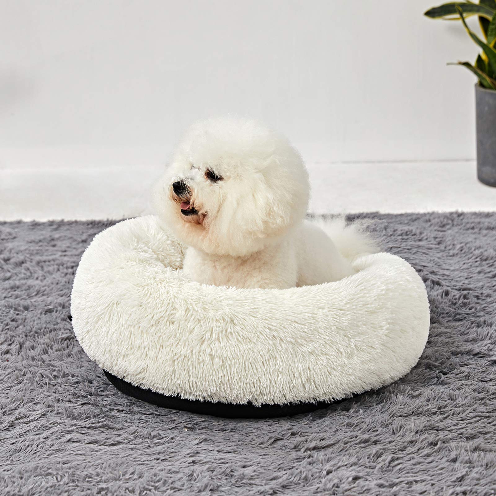 ANWA Round Bed features waterproof bottom to guard against spills.