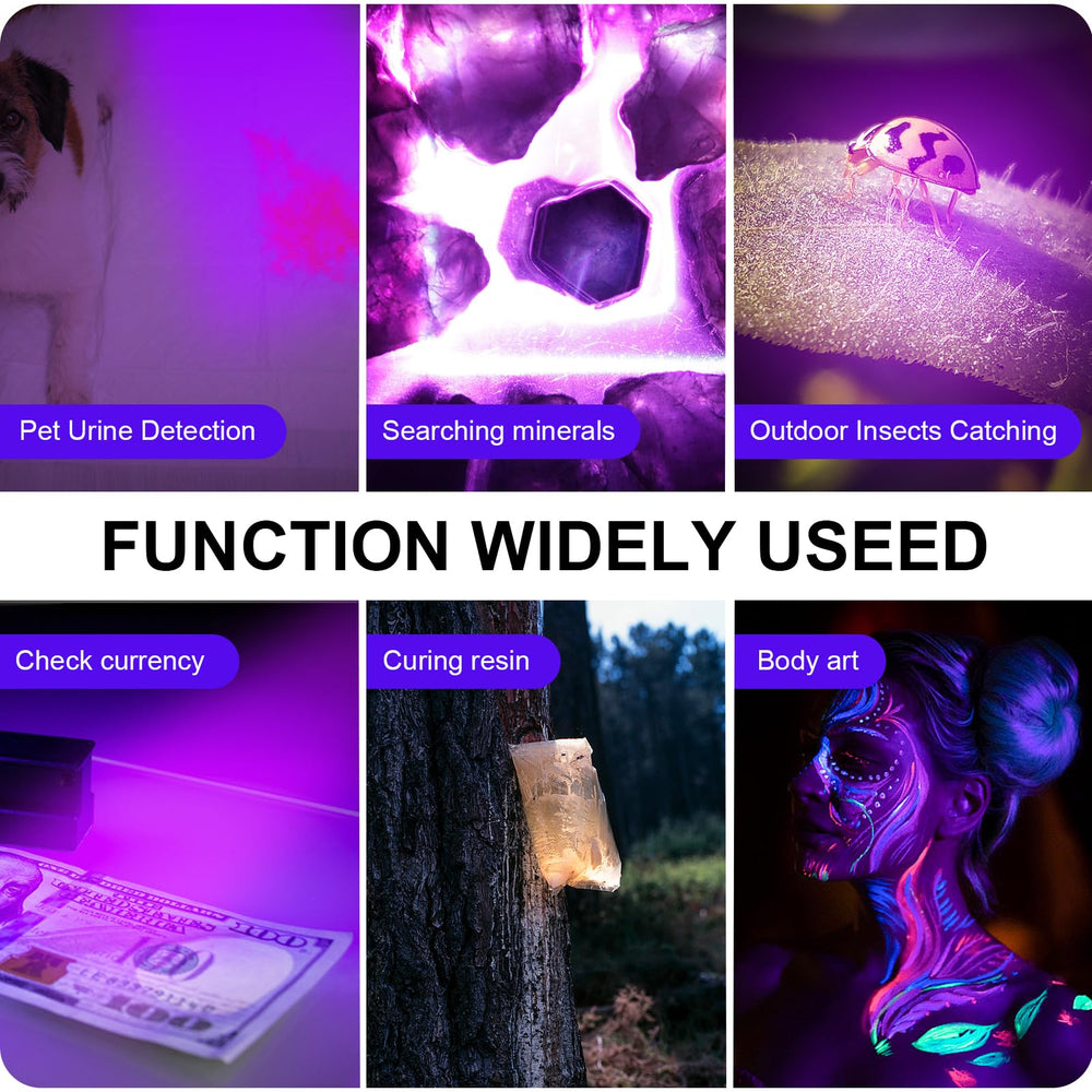 ANYGO UV flashlight aids scorpion hunting with bright 365nm light
