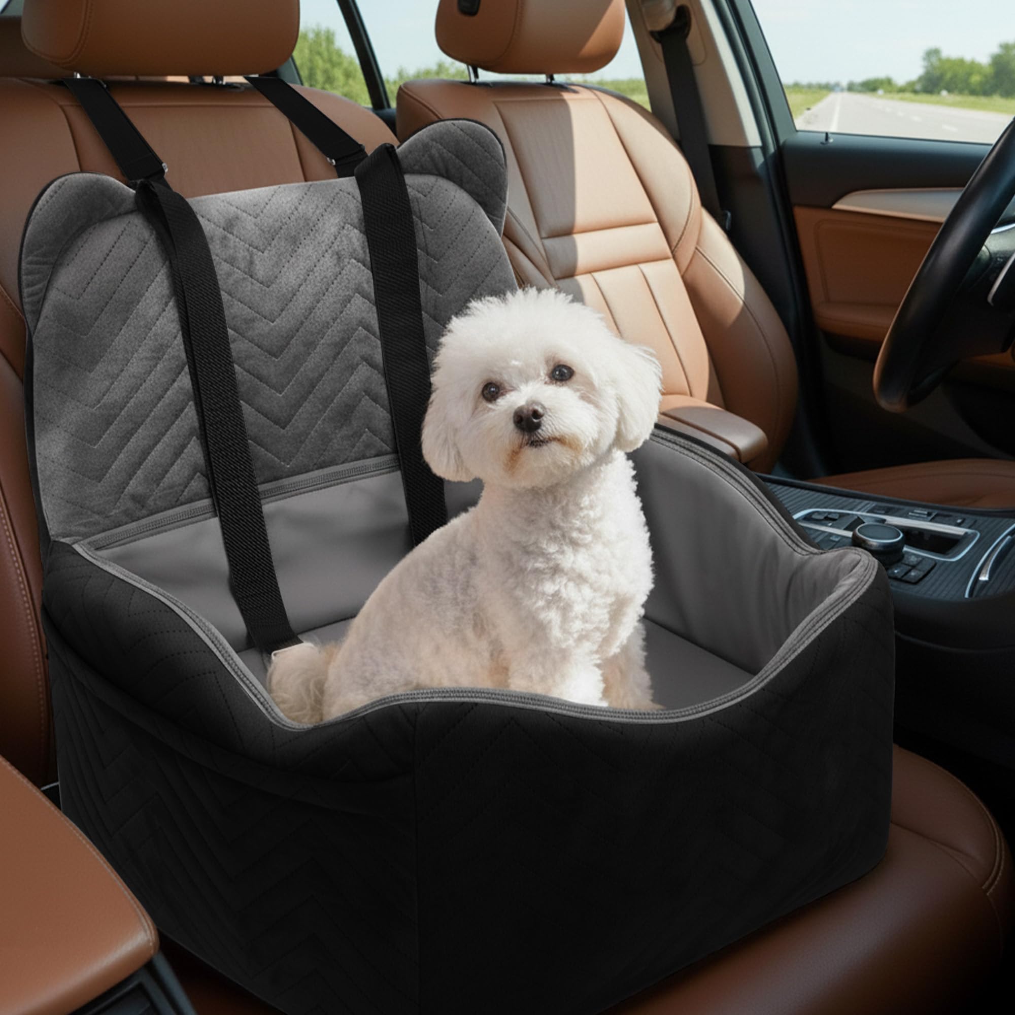 Anywish dog car seat memory-foam-boost delivers elevated comfort for small dogs on drives