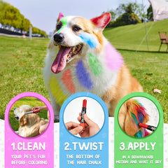 AOFEGRLT non-toxic pet paint bottle shown for safe use.
