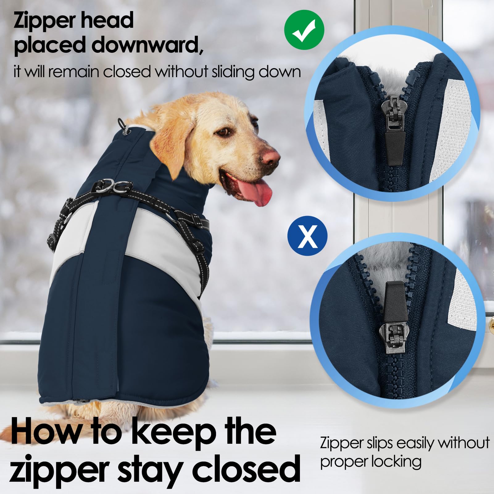 AOFITEE dog coat with d-rings for quick leash attachment