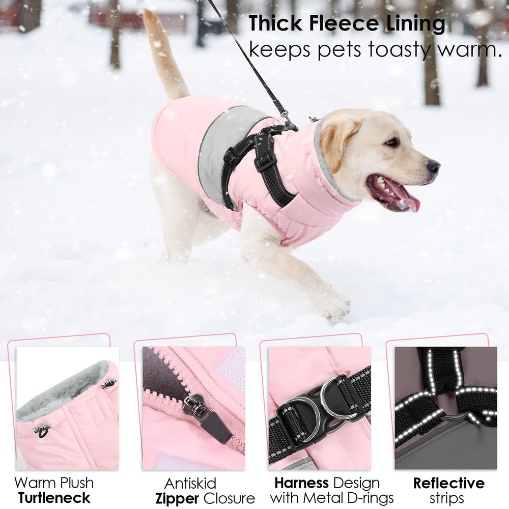 AOFITEE harness and leash-ready design with sturdy D-rings.