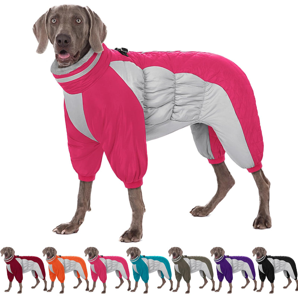 AOFITEE dog coat back view shows full coverage and easy-access zipper for secure cold-weather walks.
