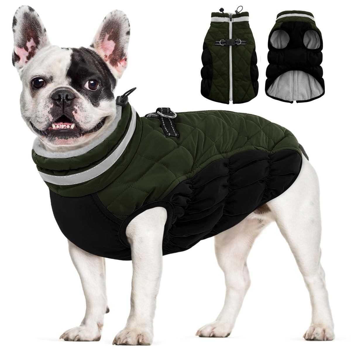 AOFITEE dog coat back-zip painfree-guard enables easy on/off without snagging fur