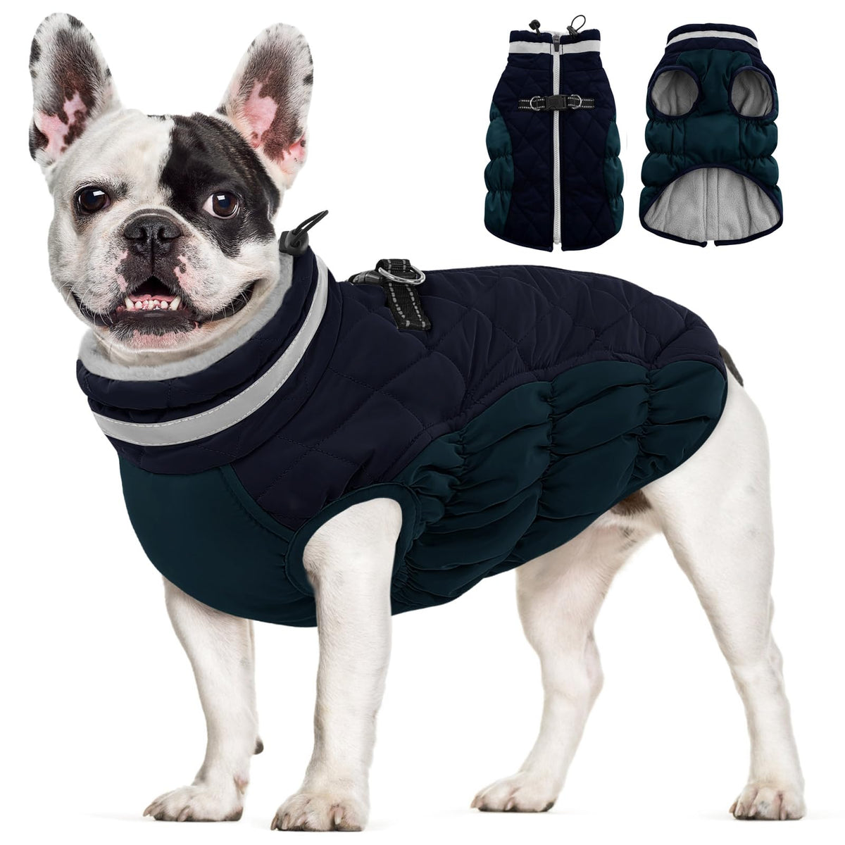 AOFITEE dog coat back view showing secure fit and warmth for winter walks