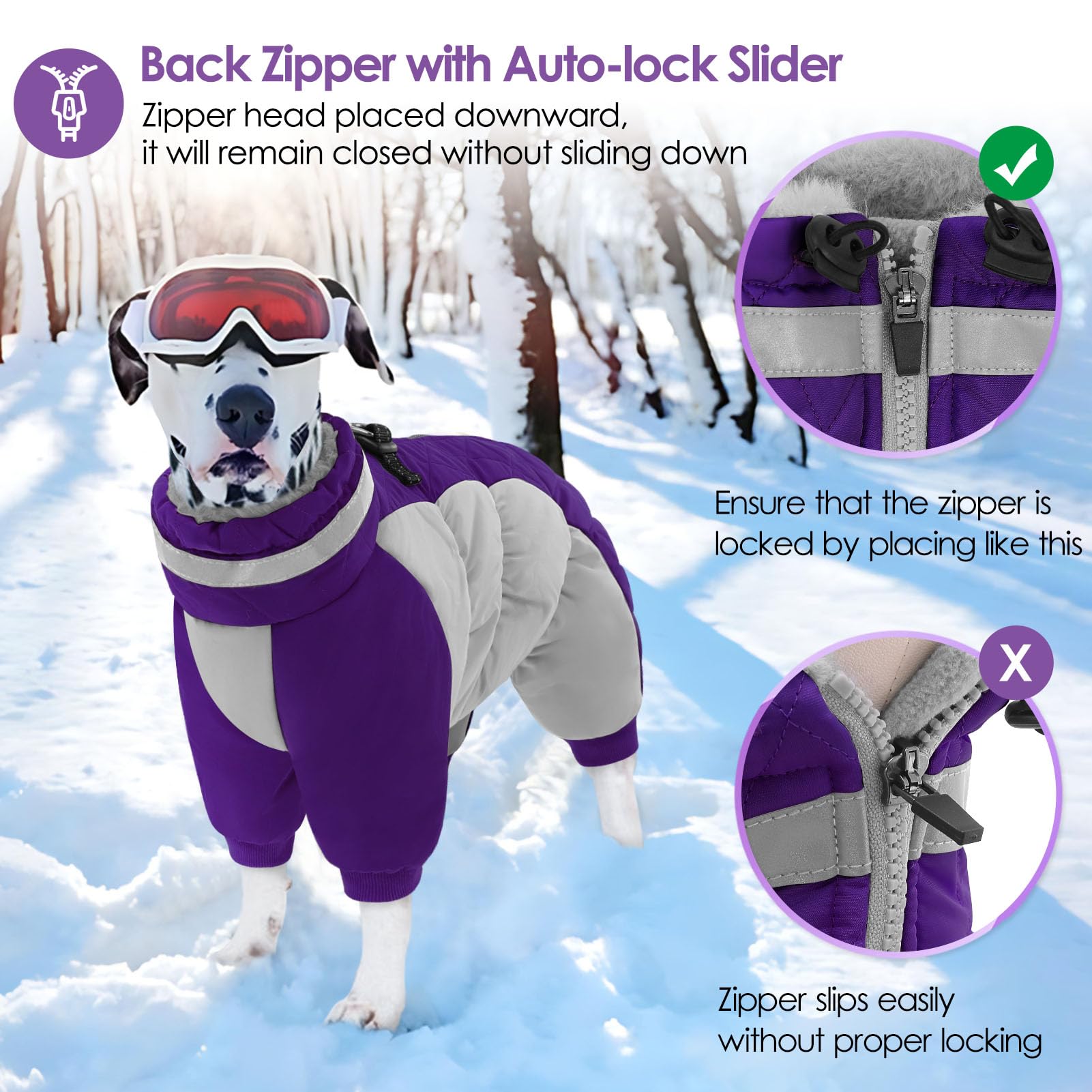 AOFITEE four-D-ring design secures leashes and harnesses easily