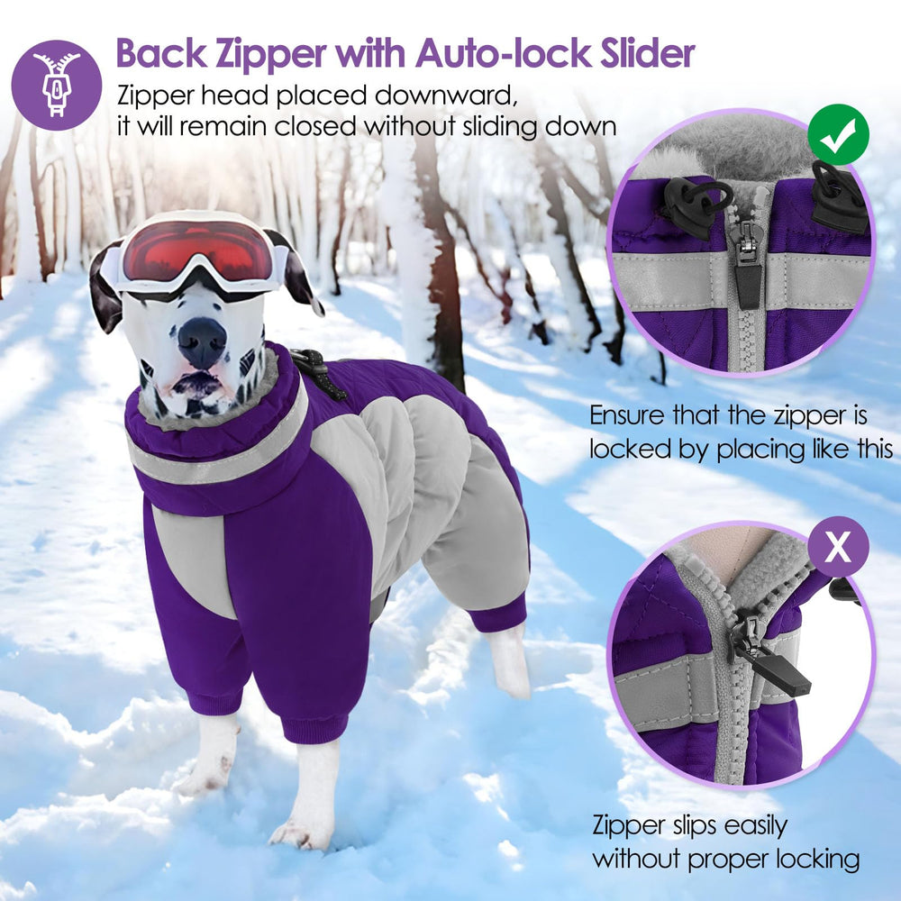 AOFITEE four-D-ring design secures leashes and harnesses easily