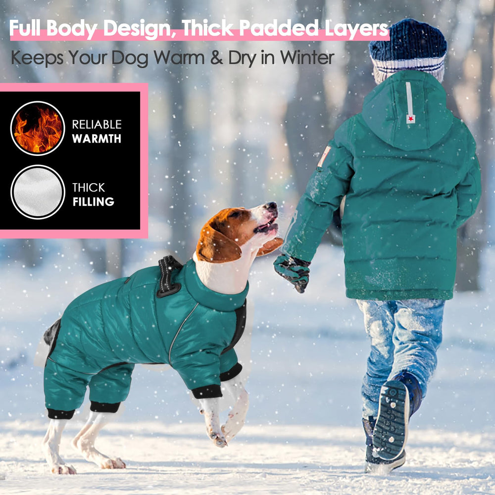 AOFITEE dog coat showing dual D-ring leash attachments for easy walking